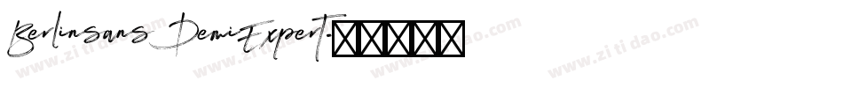 Berlinsans DemiExpert字体转换